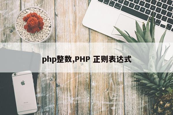 php整数,PHP 正则表达式