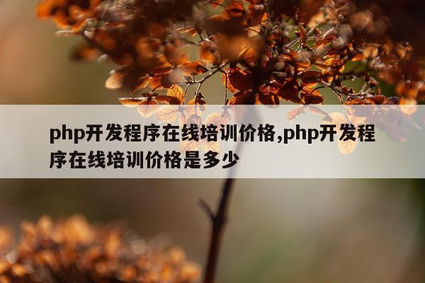php开发程序在线培训价格,php开发程序在线培训价格是多少