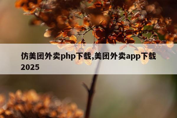 仿美团外卖php下载,美团外卖app下载2025