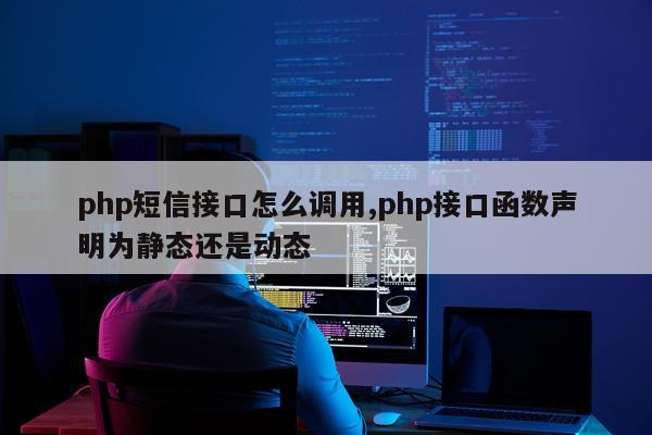 php短信接口怎么调用,php接口函数声明为静态还是动态