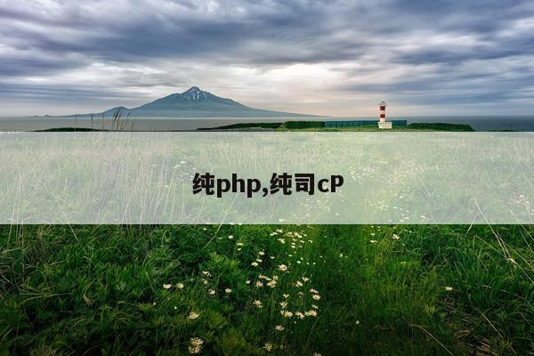 纯php,纯司cP