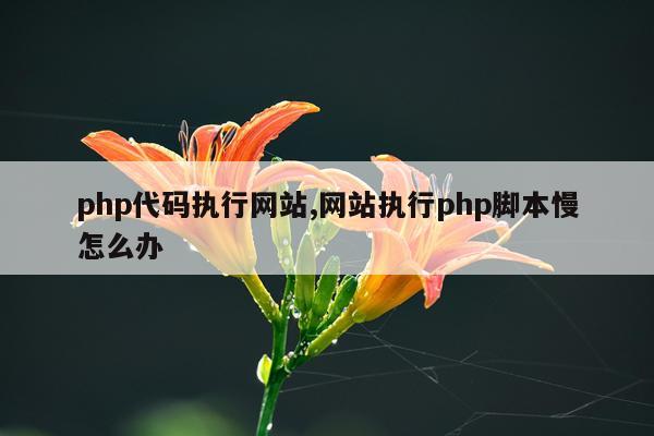 php代码执行网站,网站执行php脚本慢怎么办