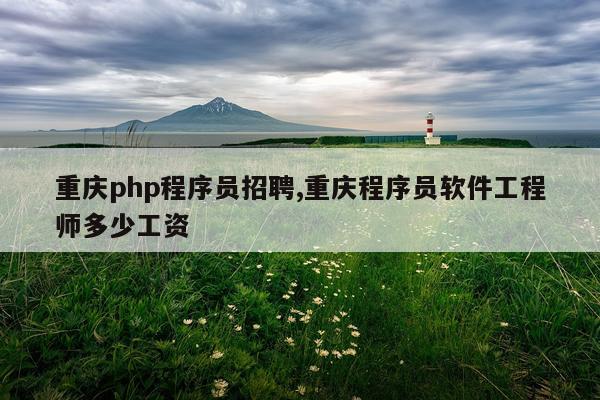 重庆php程序员招聘,重庆程序员软件工程师多少工资