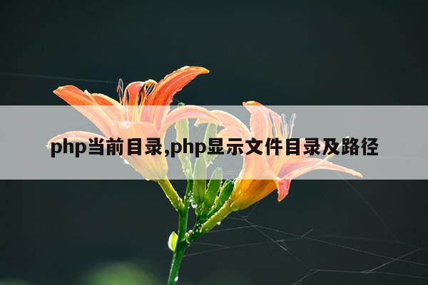 php当前目录,php显示文件目录及路径