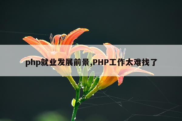 php就业发展前景,PHP工作太难找了