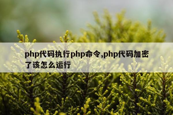 php代码执行php命令,php代码加密了该怎么运行