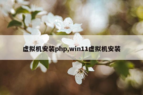 虚拟机安装php,win11虚拟机安装