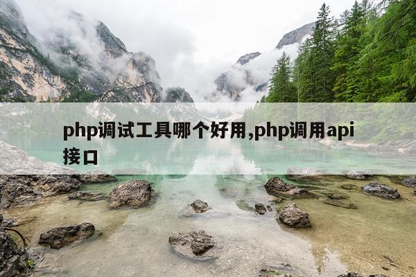 php调试工具哪个好用,php调用api接口