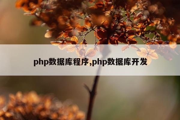 php数据库程序,php数据库开发