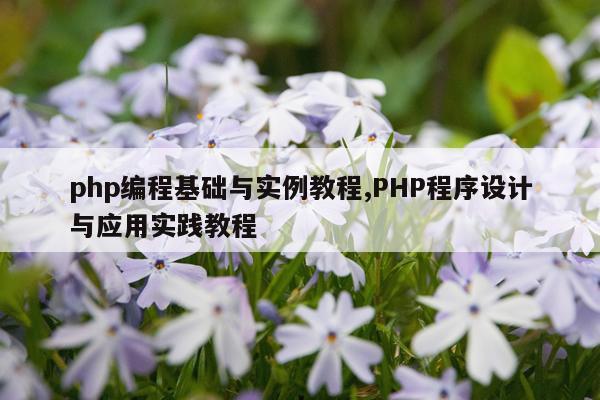 php编程基础与实例教程,PHP程序设计与应用实践教程