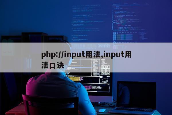 php://input用法,input用法口诀