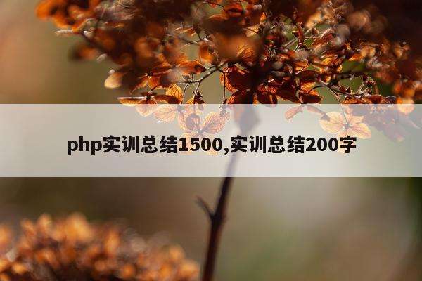 php实训总结1500,实训总结200字