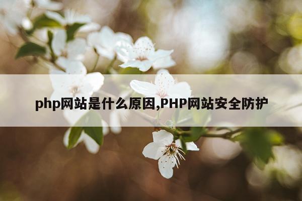 php网站是什么原因,PHP网站安全防护