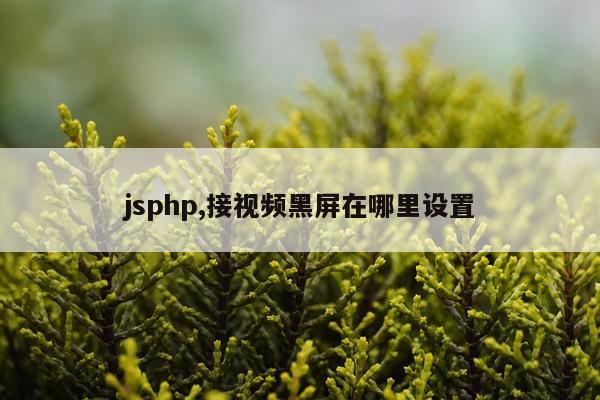 jsphp,接视频黑屏在哪里设置