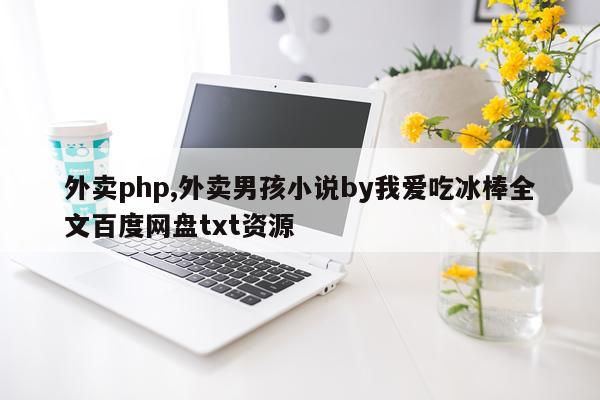 外卖php,外卖男孩小说by我爱吃冰棒全文百度网盘txt资源