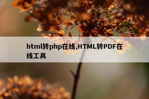 html转php在线,HTML转PDF在线工具