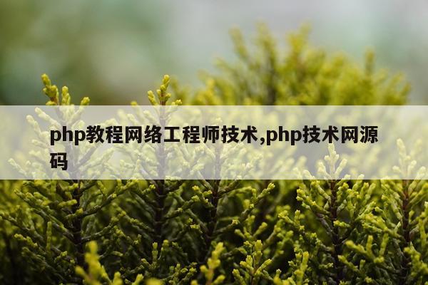 php教程网络工程师技术,php技术网源码