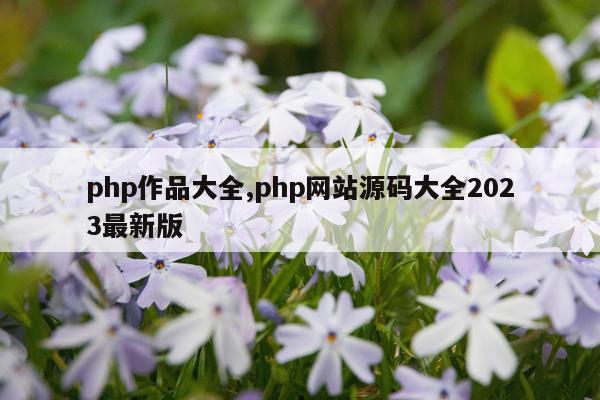 php作品大全,php网站源码大全2023最新版