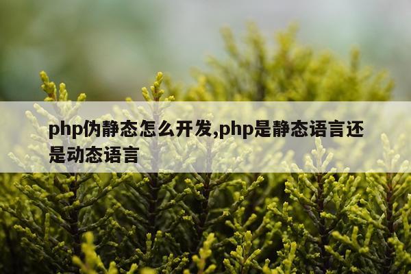 php伪静态怎么开发,php是静态语言还是动态语言