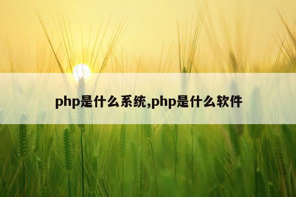 php是什么系统,php是什么软件