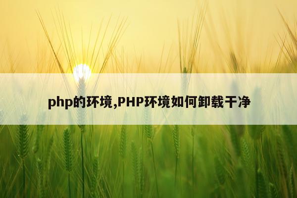 php的环境,PHP环境如何卸载干净