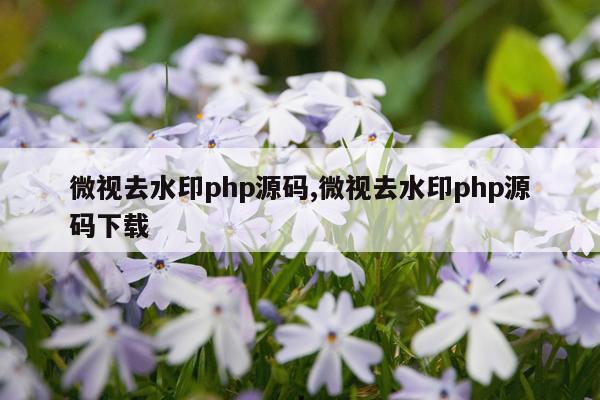 微视去水印php源码,微视去水印php源码下载