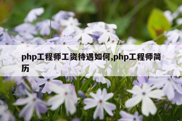 php工程师工资待遇如何,php工程师简历