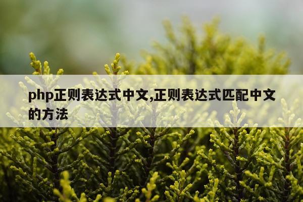 php正则表达式中文,正则表达式匹配中文的方法