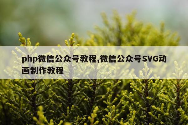 php微信公众号教程,微信公众号SVG动画制作教程