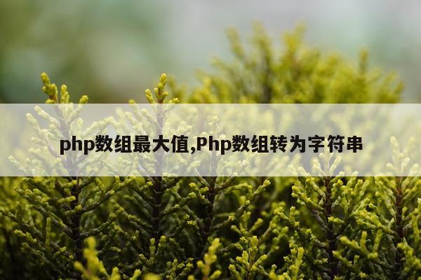 php数组最大值,Php数组转为字符串