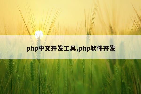 php中文开发工具,php软件开发