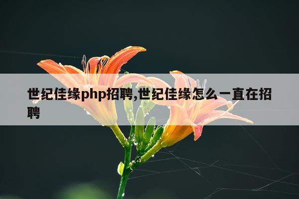 世纪佳缘php招聘,世纪佳缘怎么一直在招聘