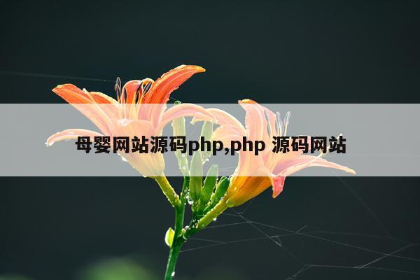 母婴网站源码php,php 源码网站