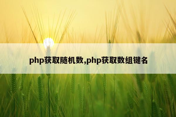 php获取随机数,php获取数组键名