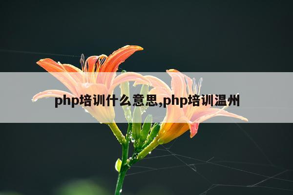 php培训什么意思,php培训温州