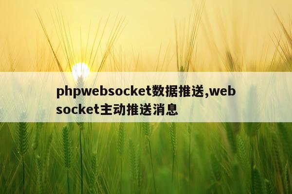 phpwebsocket数据推送,websocket主动推送消息
