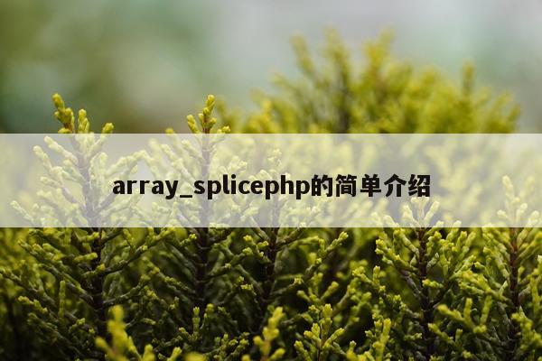 array_splicephp的简单介绍