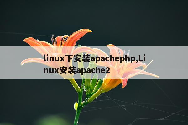 linux下安装apachephp,Linux安装apache2