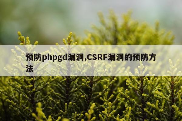预防phpgd漏洞,CSRF漏洞的预防方法