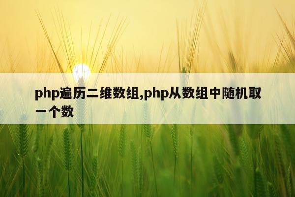 php遍历二维数组,php从数组中随机取一个数