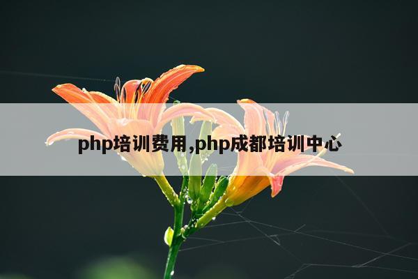 php培训费用,php成都培训中心