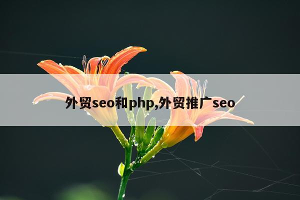外贸seo和php,外贸推广seo