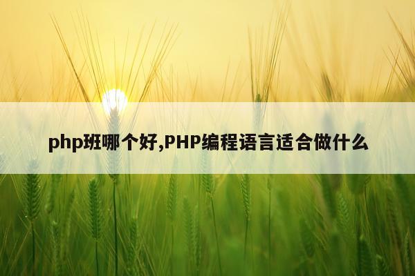 php班哪个好,PHP编程语言适合做什么