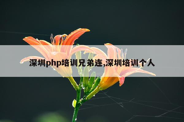 深圳php培训兄弟连,深圳培训个人