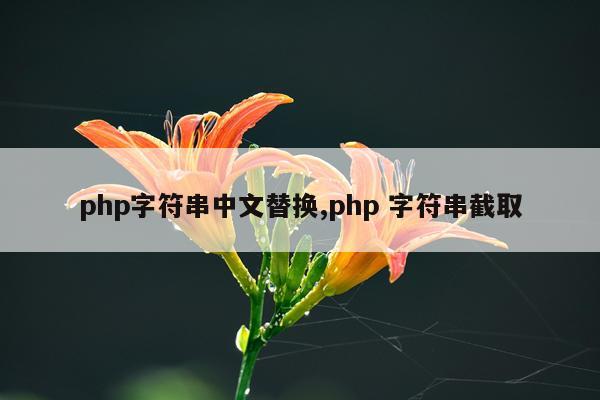 php字符串中文替换,php 字符串截取