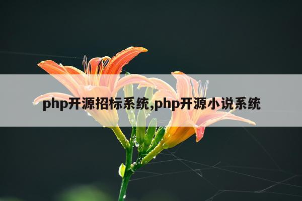 php开源招标系统,php开源小说系统