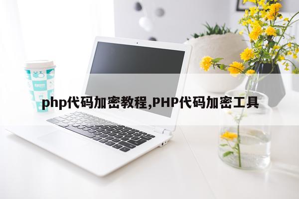 php代码加密教程,PHP代码加密工具