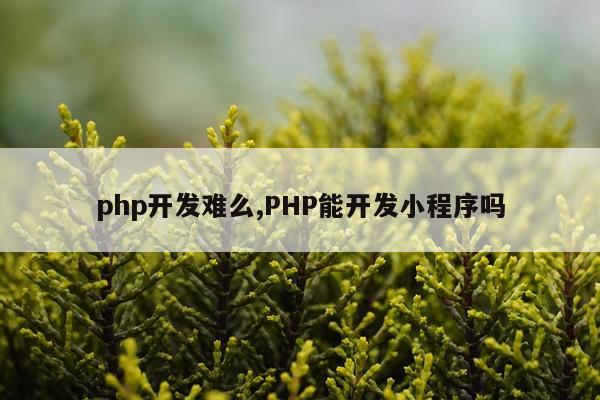 php开发难么,PHP能开发小程序吗