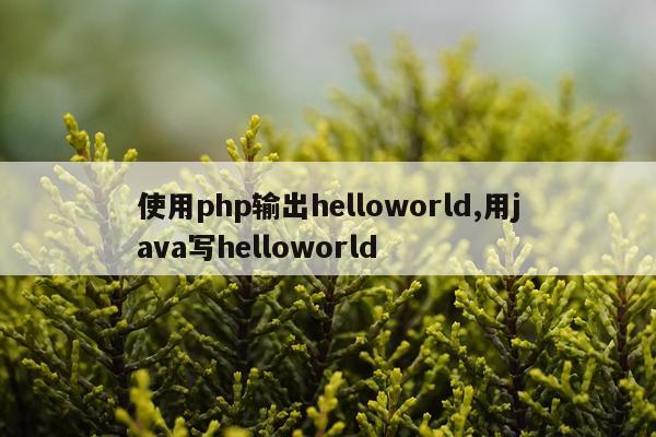 使用php输出helloworld,用java写helloworld