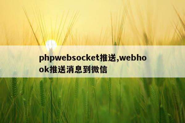 phpwebsocket推送,webhook推送消息到微信